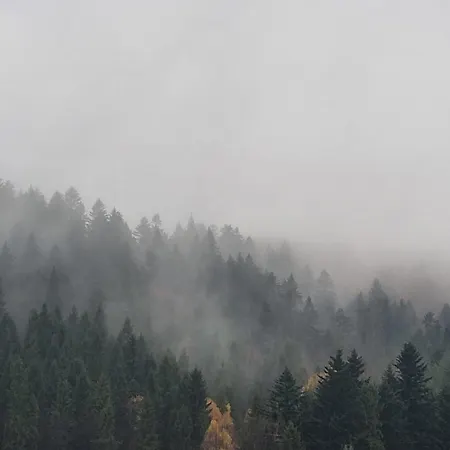 Lägenhet Kasztanowy Zakatek *