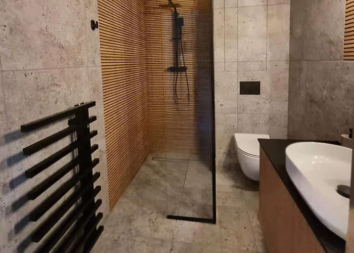 Kasztanowy Zakatek Apartment *